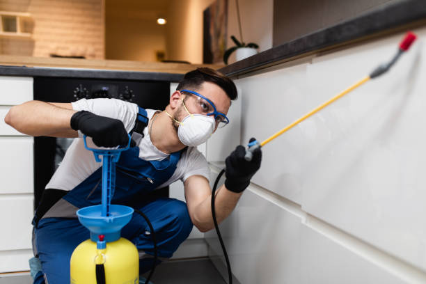 Best Residential Pest Control  in Carrollton, KY