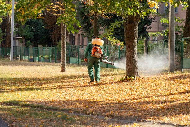 Best Pest Removal Services  in Carrollton, KY