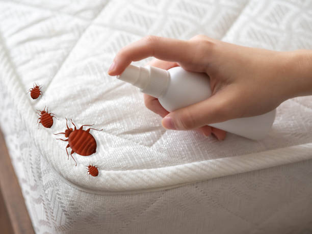 Professional Pest Control in Carrollton, KY