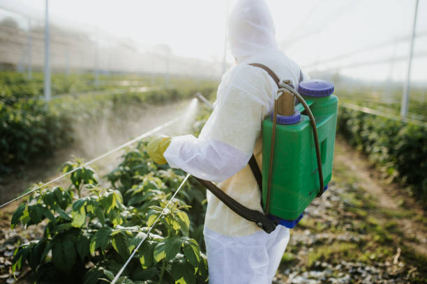 Pest Prevention Services in Carrollton, KY
